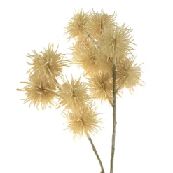 Acacia Stem Cream