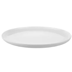 Bone China Coupe Dinner Plate