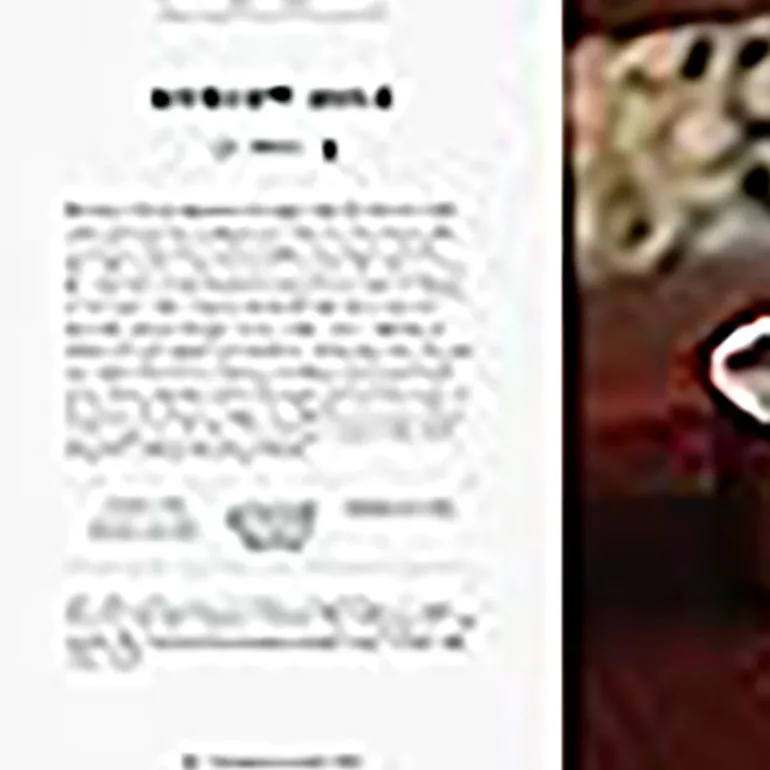 Book - The Essential Cocktail Book