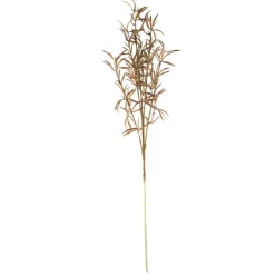 Brown Soft Grass Stem