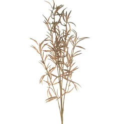 Brown Soft Grass Stem