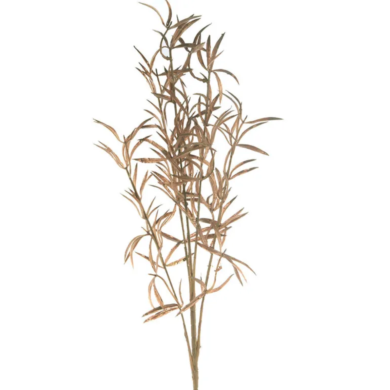 Brown Soft Grass Stem