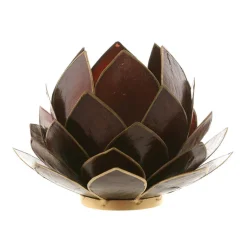 Cabbage Capiz Chocolate