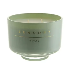 Candle Coconut & Lime