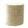 Capiz Side Table
