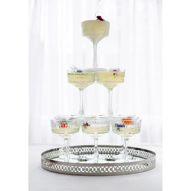 Champagne Glass Coupe Elysia