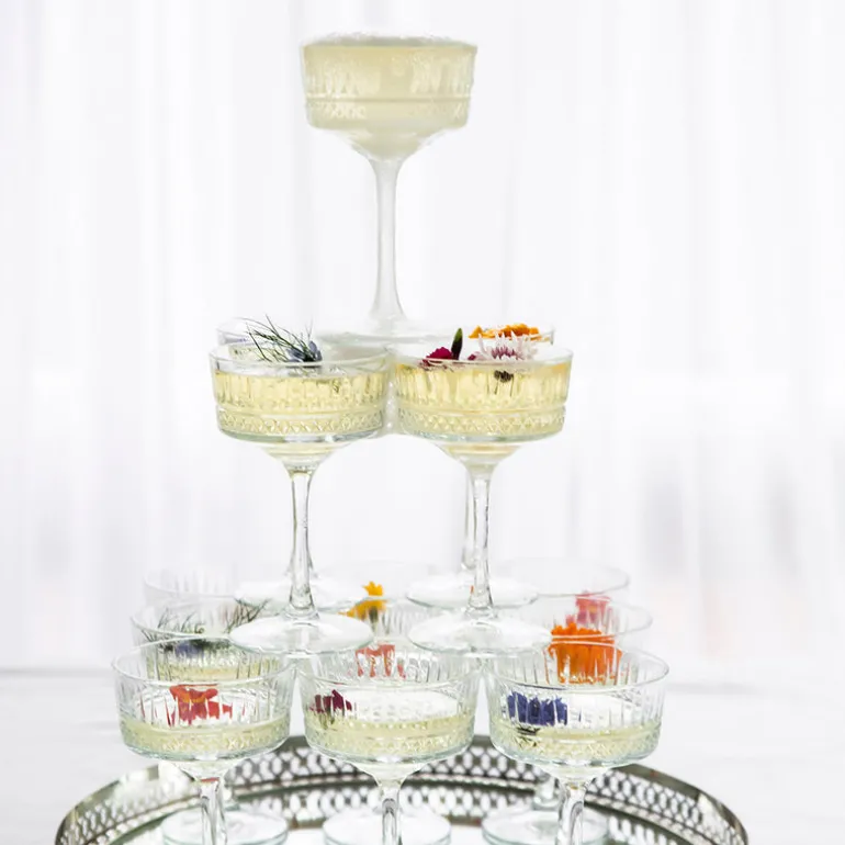 Champagne Glass Coupe Elysia
