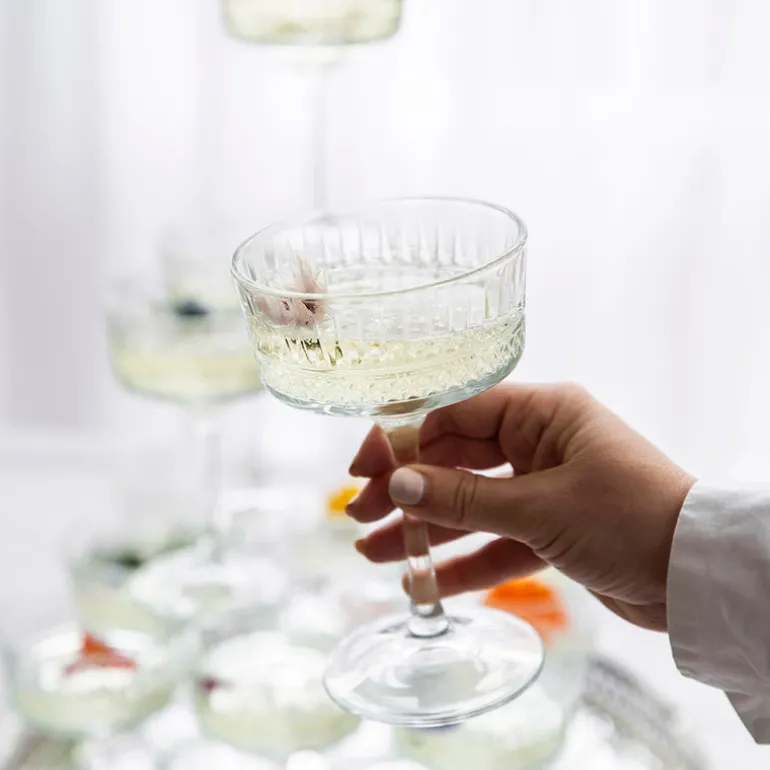 Champagne Glass Coupe Elysia