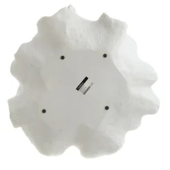 Decorative Bowl Resin Coral