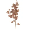 Eucalyptus Spray Light Brown