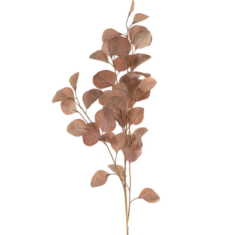 Eucalyptus Spray Light Brown