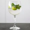 Gin Tonic Glass America's 20