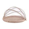 Mesh Food Cover Rattan Base Small