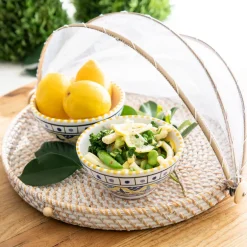 Mesh Food Cover Rattan Base Medium