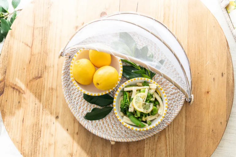Mesh Food Cover Rattan Base Small
