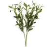 Olive Spray Stem