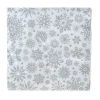 Paper Napkin Snowflake Silver Pack