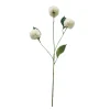 Single Mini Dahlia with 3 Heads White