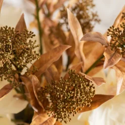 Skimmia Japonica Spray Stem