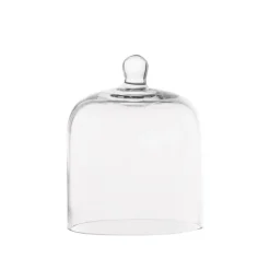 Small Glass Dome