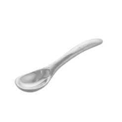 Spoon Silver Finish