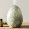 Ultrasonic Diffuser Glass Sage
