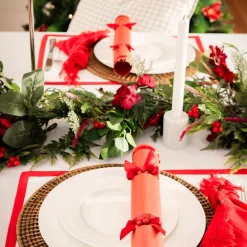 White Placemat with Red Trim
